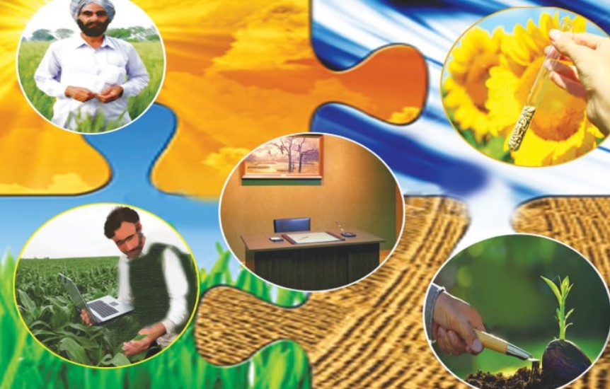 Agricultural Extension