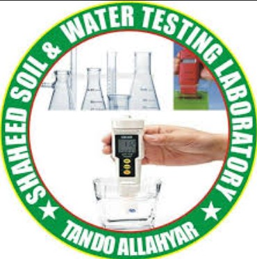 South Punjab Government Logo 3