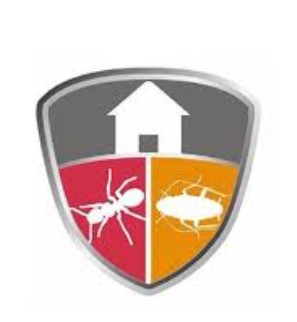 South Punjab Government Logo 5