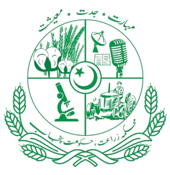 South Punjab Government Logo 6